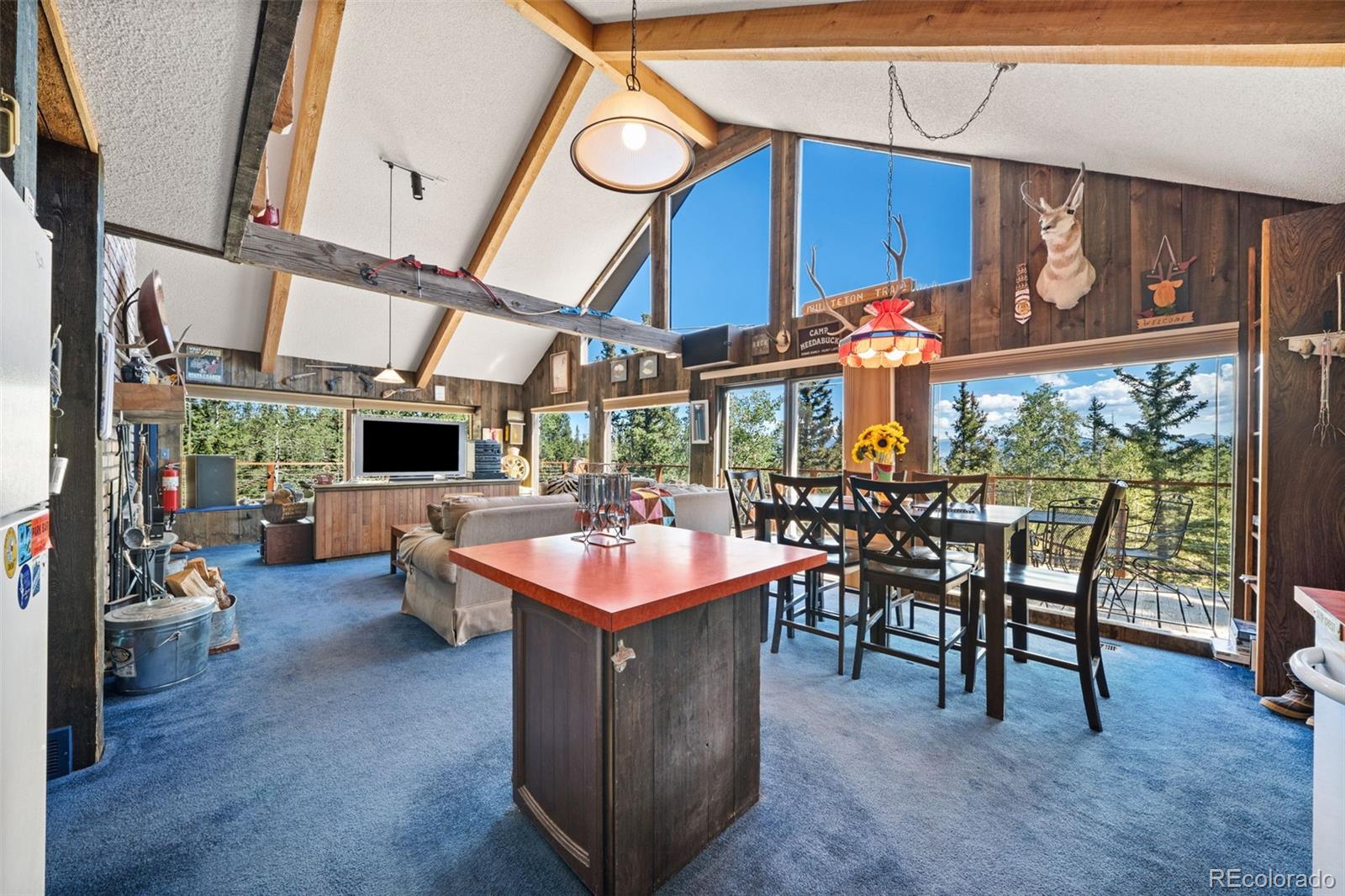 MLS Image #13 for 1011  teton trail,como, Colorado