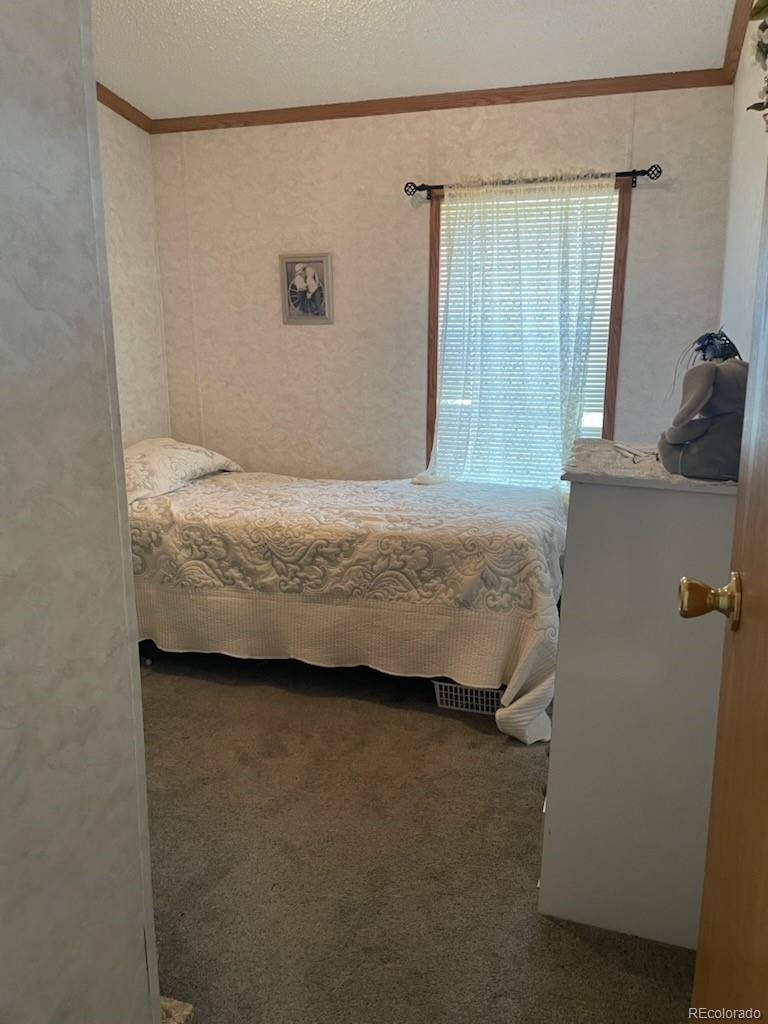 MLS Image #25 for 21170  county road p.6 ,san luis, Colorado