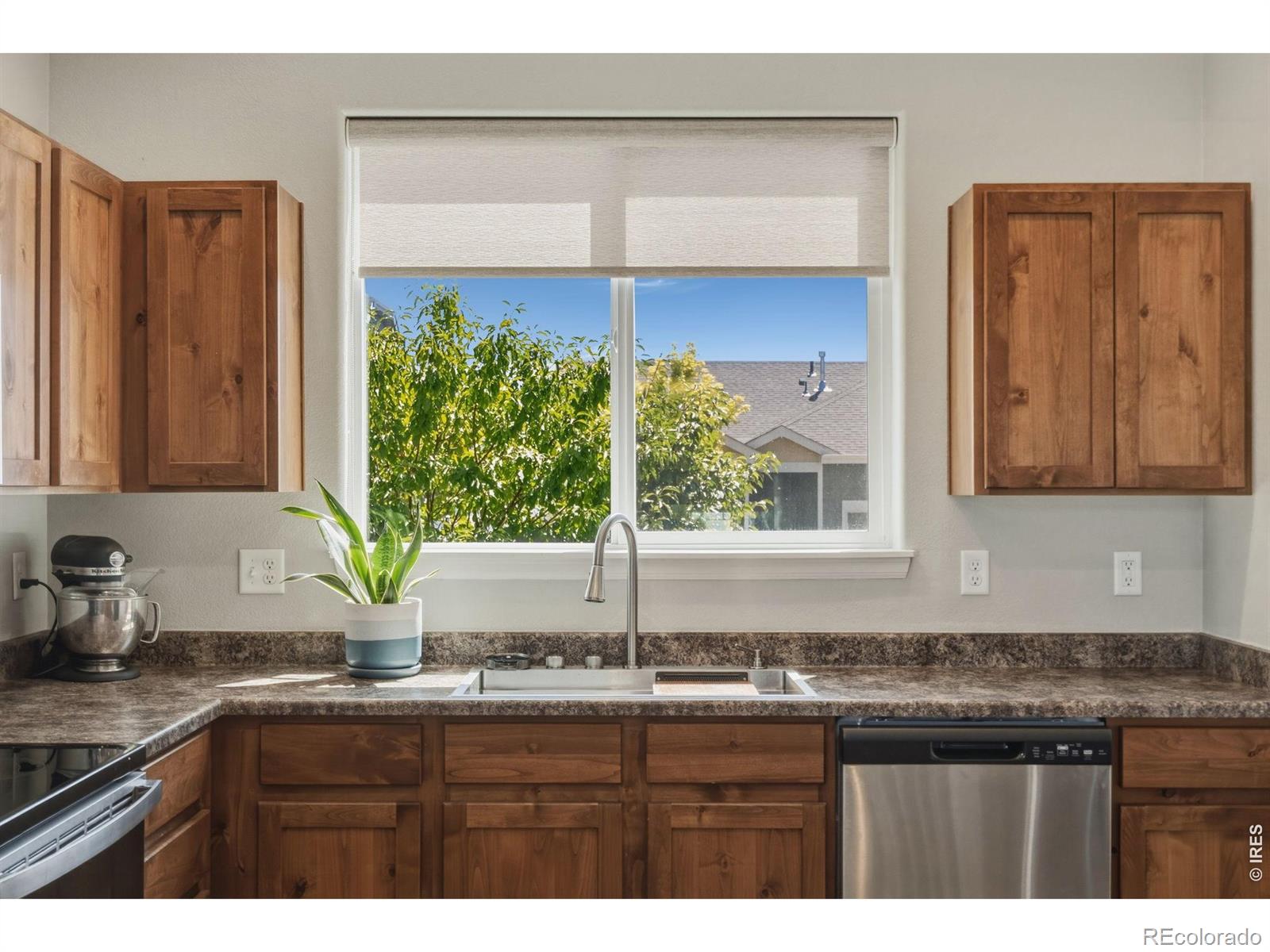 MLS Image #10 for 956  maplebrook drive,windsor, Colorado