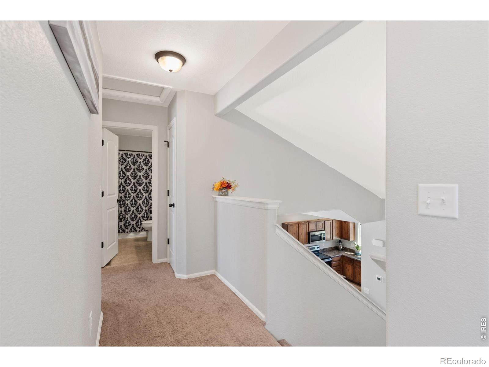 MLS Image #23 for 956  maplebrook drive,windsor, Colorado