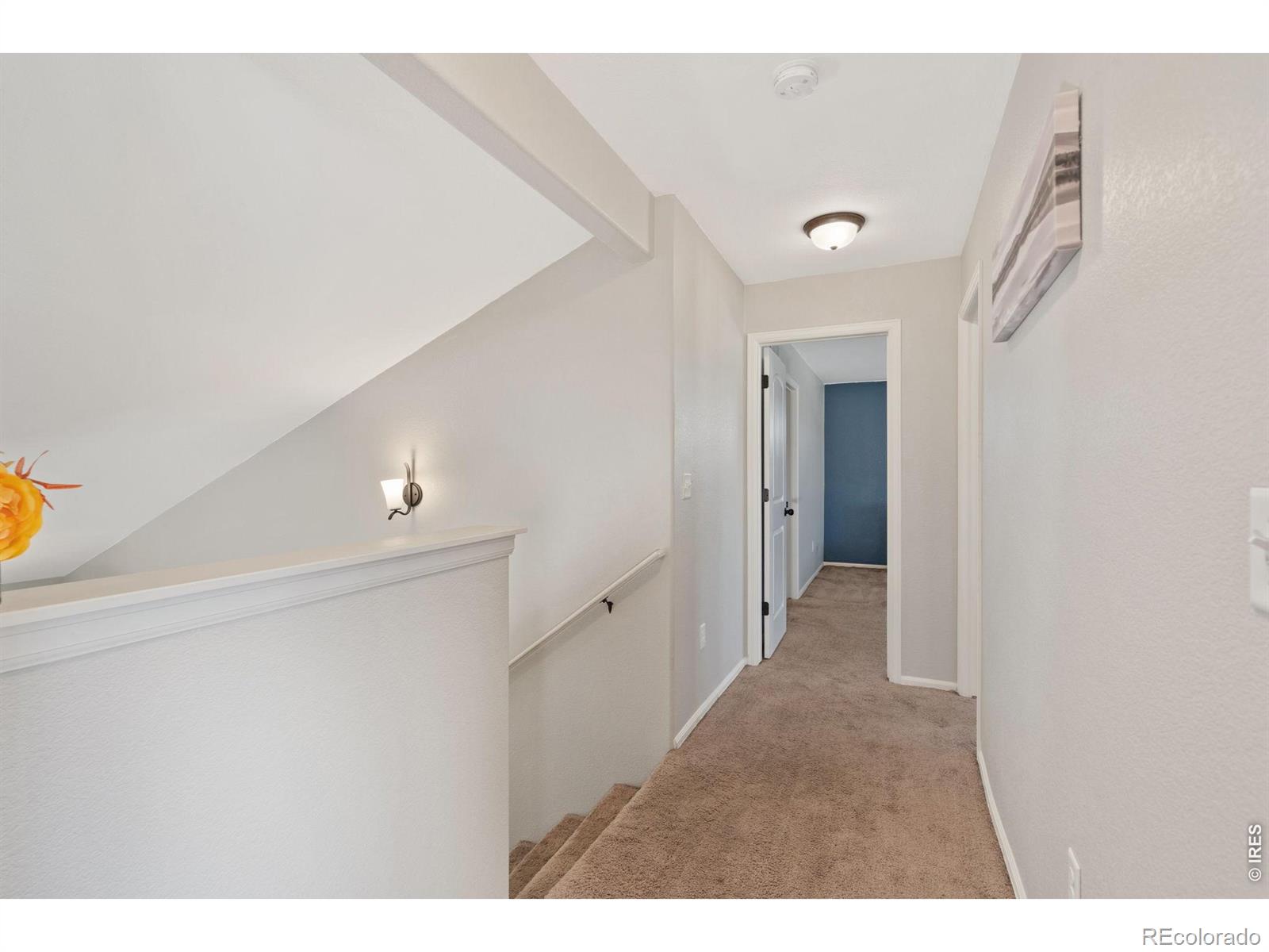 MLS Image #24 for 956  maplebrook drive,windsor, Colorado