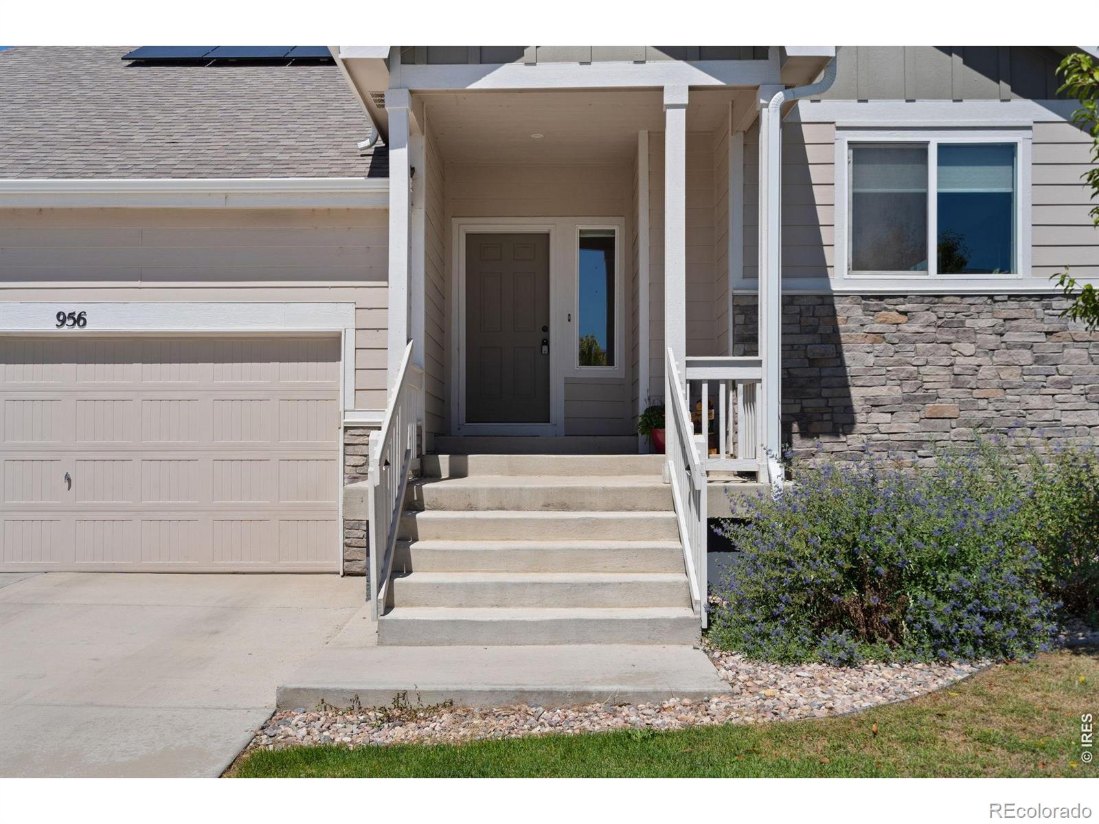 MLS Image #5 for 956  maplebrook drive,windsor, Colorado