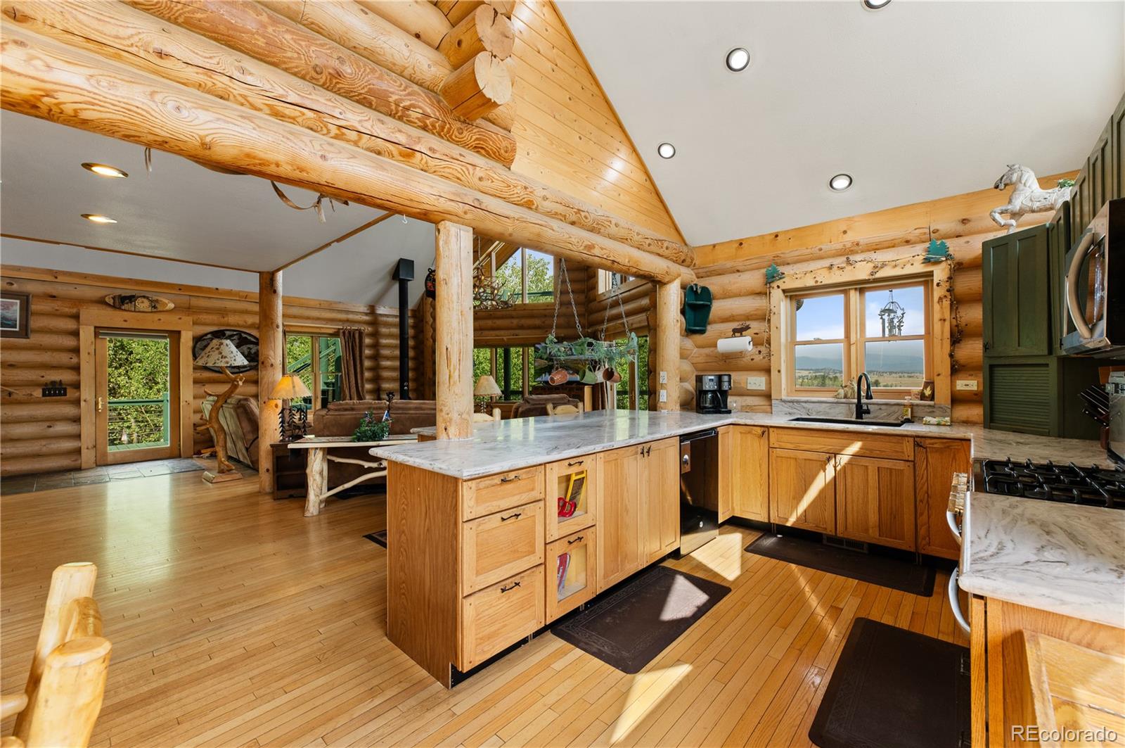 MLS Image #7 for 486  turk pony way,como, Colorado