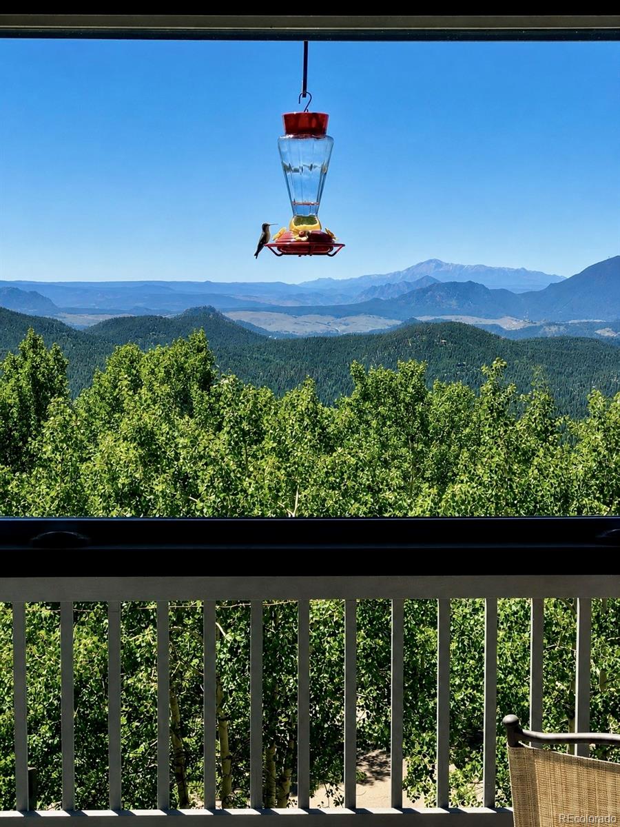 MLS Image #18 for 11740  bacard road,conifer, Colorado