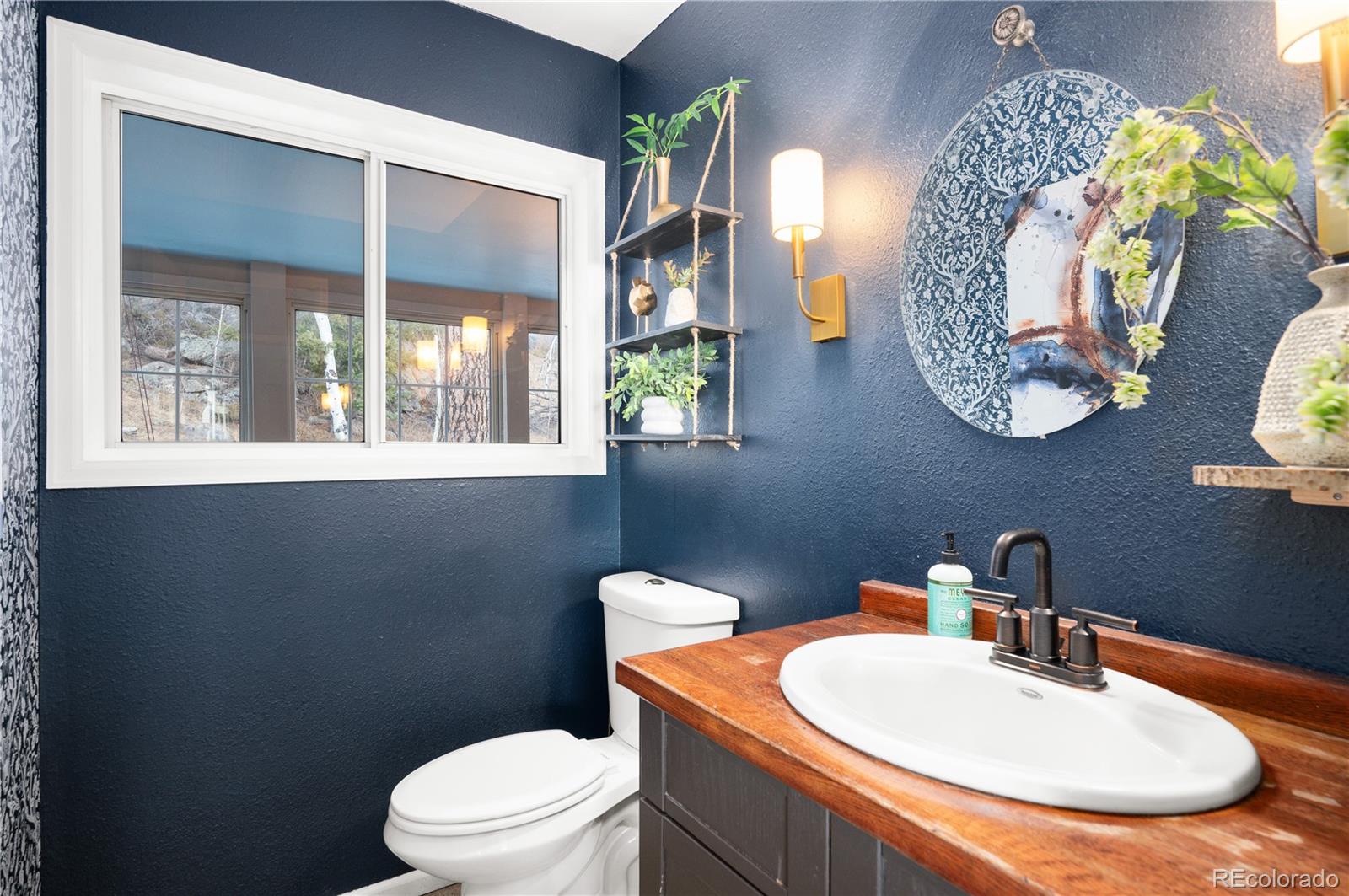 MLS Image #29 for 11740  bacard road,conifer, Colorado