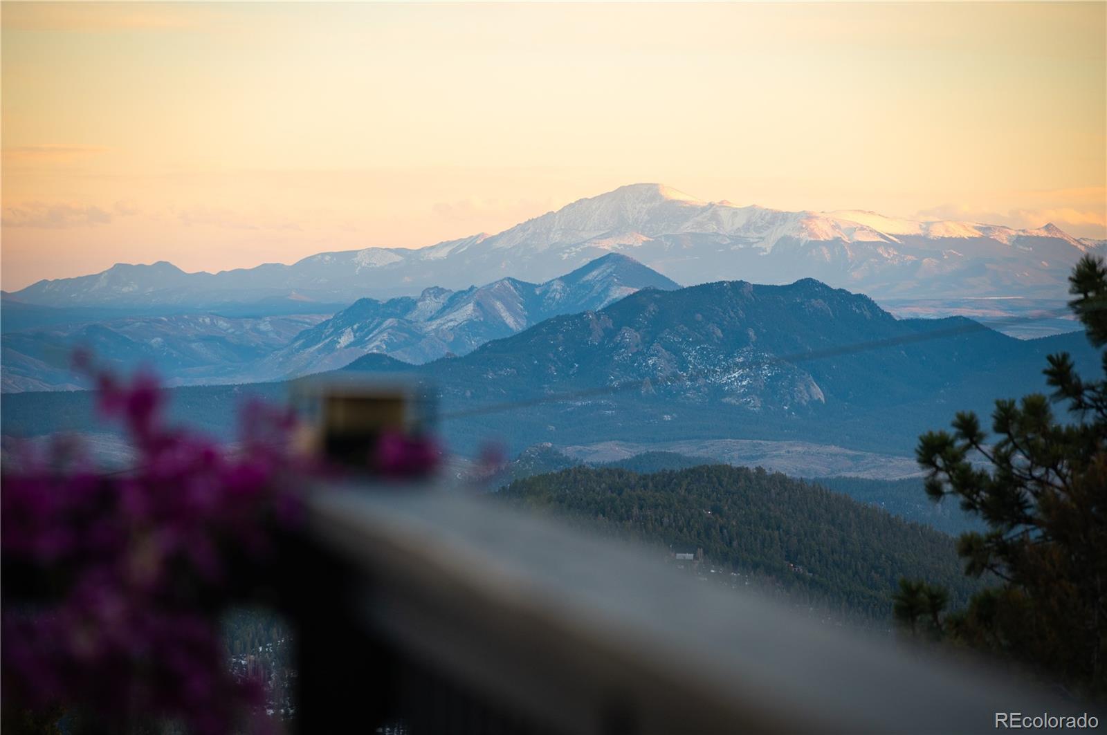 MLS Image #3 for 11740  bacard road,conifer, Colorado