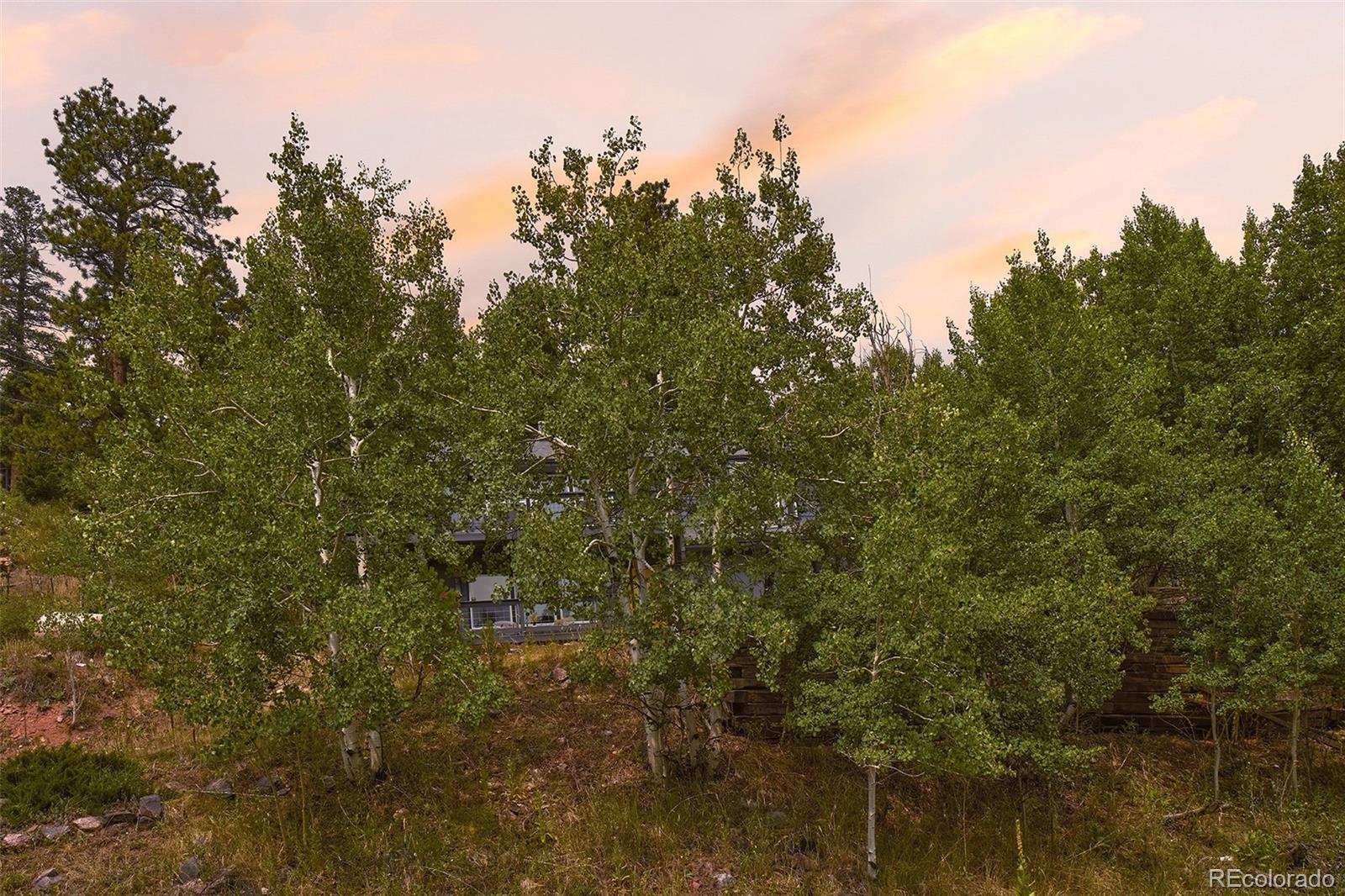 MLS Image #47 for 11740  bacard road,conifer, Colorado