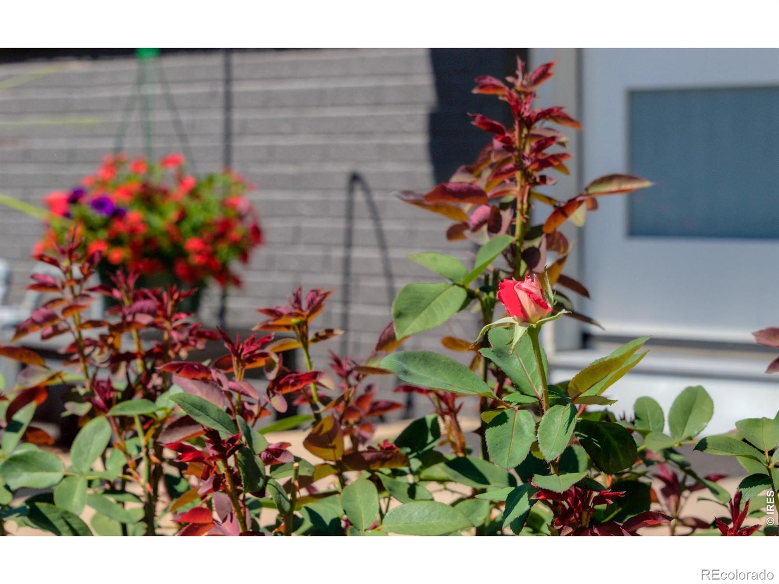 MLS Image #11 for 1145  claremont drive,boulder, Colorado