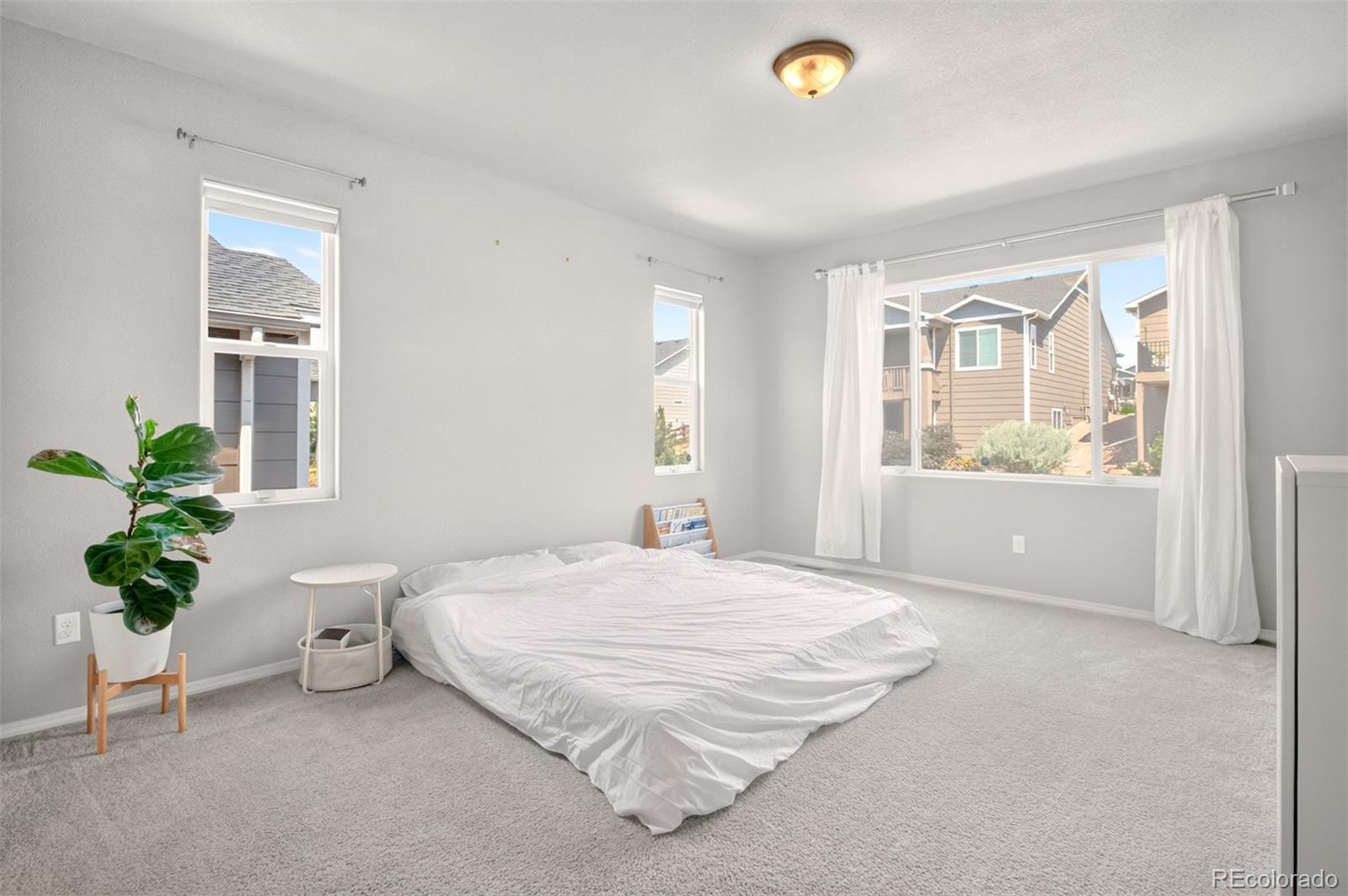 MLS Image #14 for 10657  hidden brook circle,colorado springs, Colorado