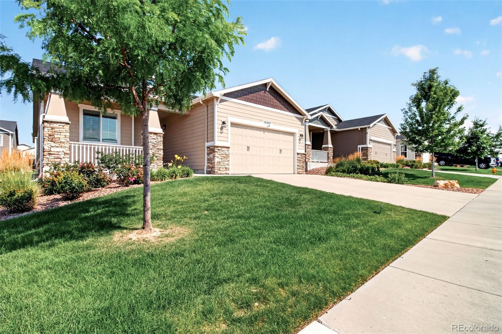 MLS Image #38 for 10657  hidden brook circle,colorado springs, Colorado