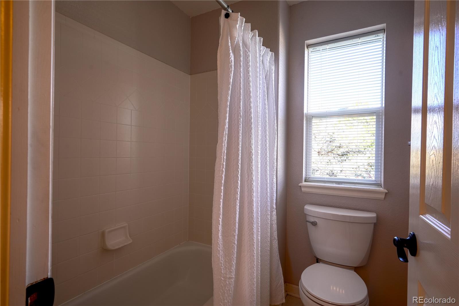 MLS Image #25 for 6959  chestnut court,parker, Colorado