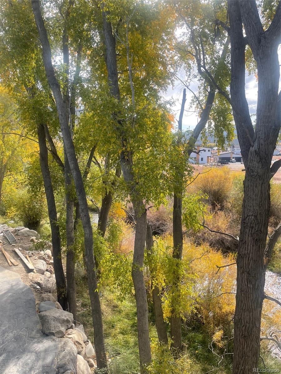 MLS Image #18 for 205  two rivers road,salida, Colorado