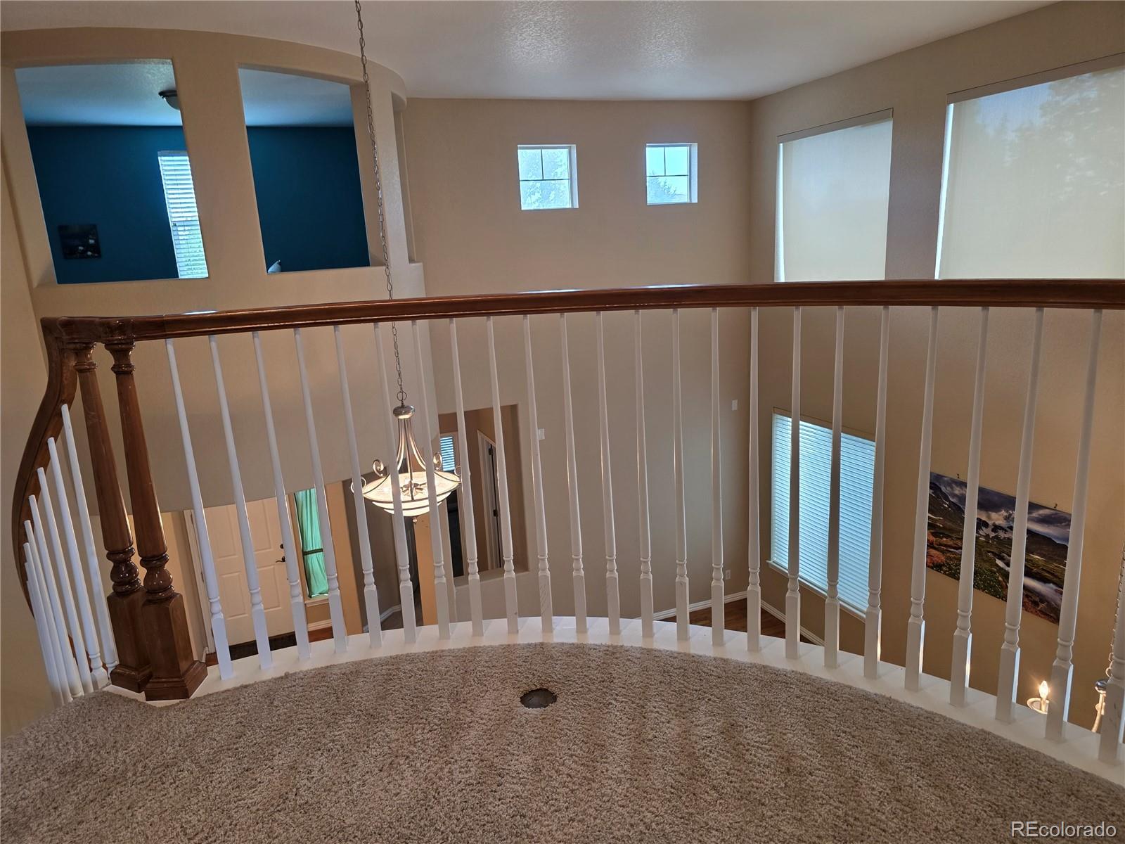 MLS Image #17 for 3430  chandon way,littleton, Colorado