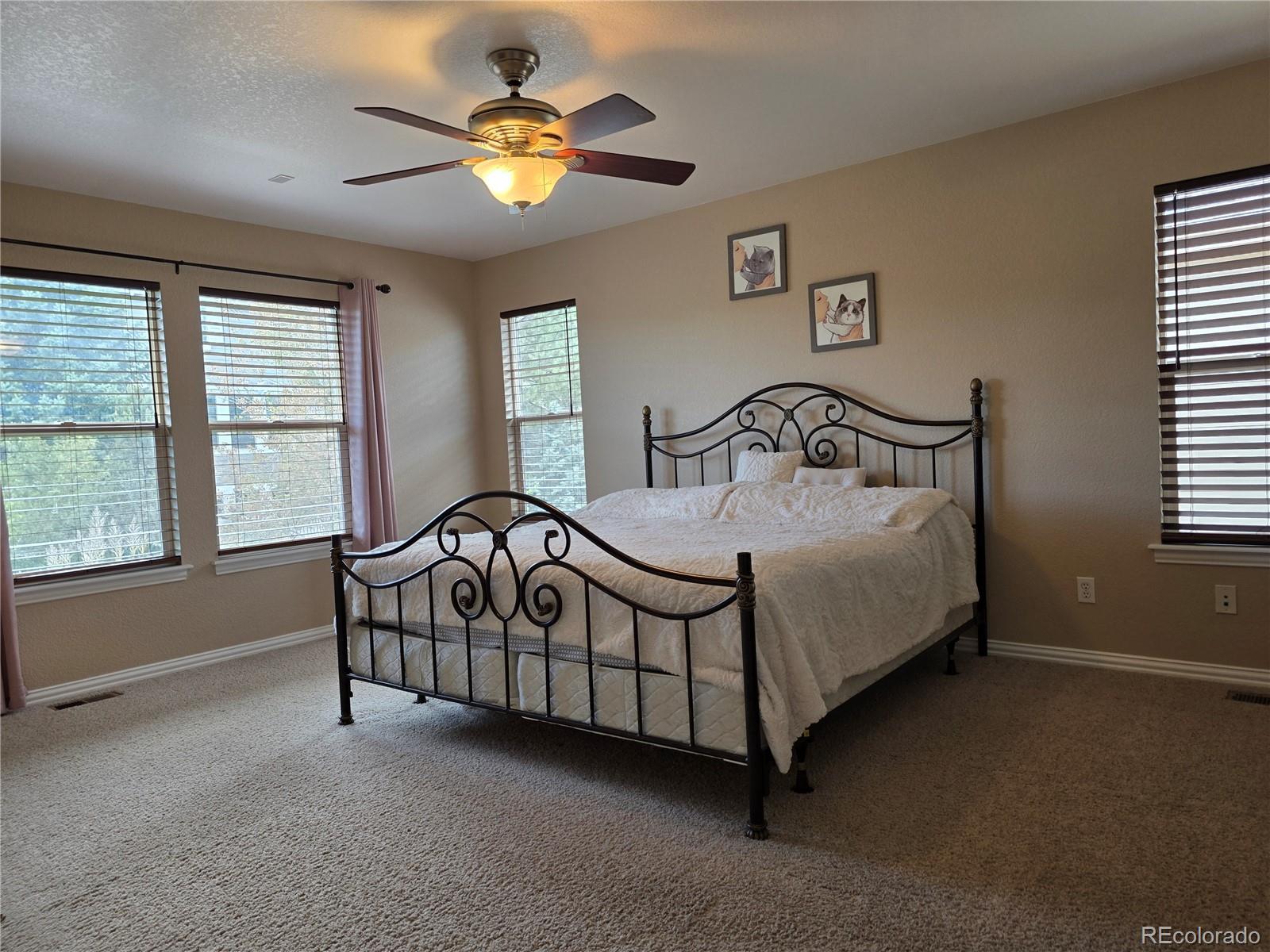 MLS Image #21 for 3430  chandon way,littleton, Colorado