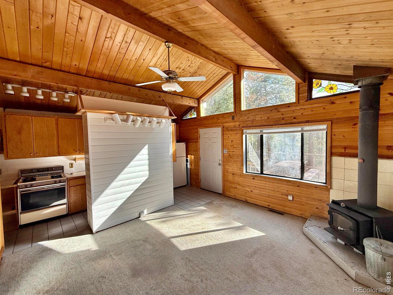 MLS Image #10 for 6687  overland road,ward, Colorado