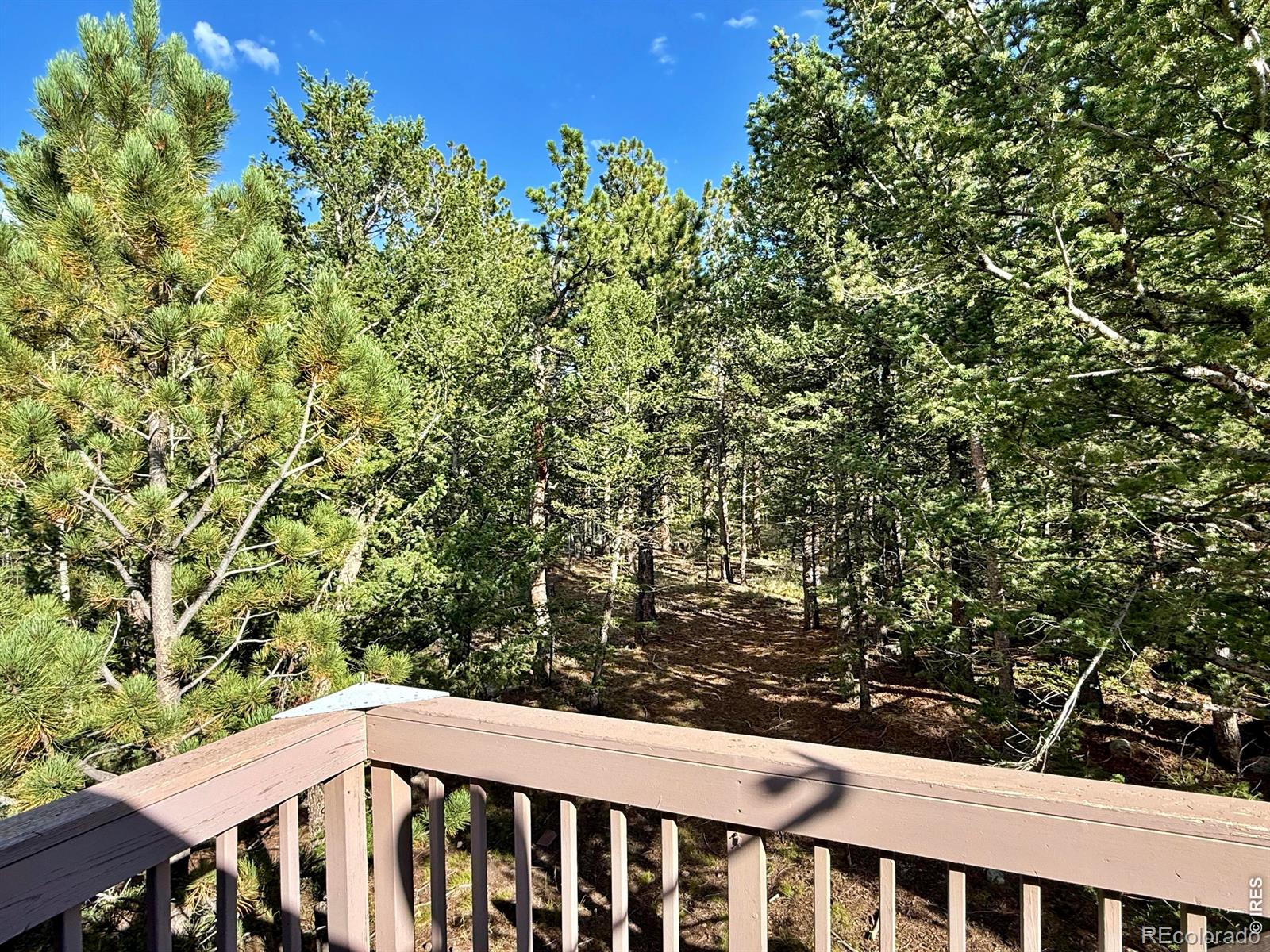MLS Image #32 for 6687  overland road,ward, Colorado