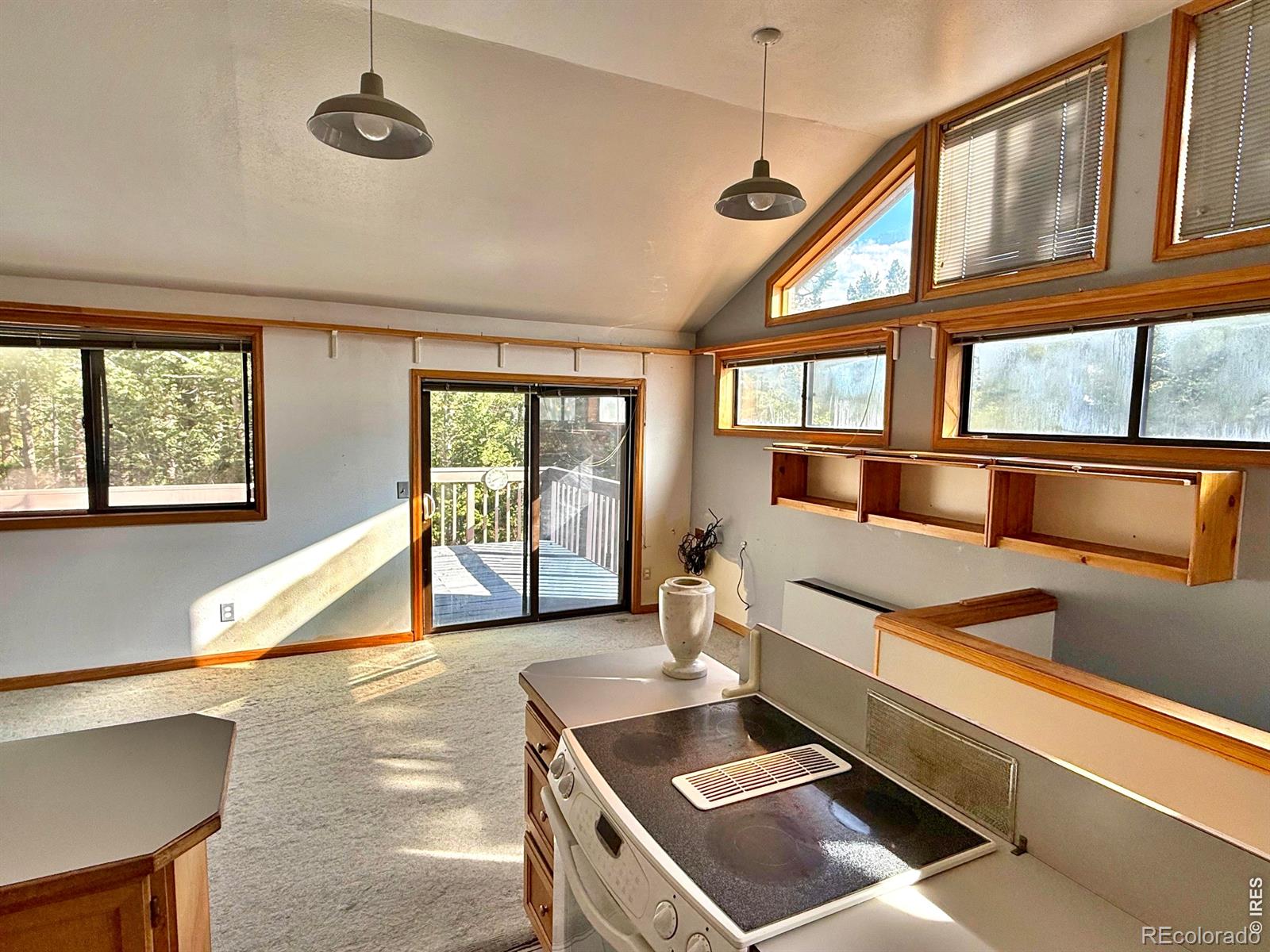 MLS Image #7 for 6687  overland road,ward, Colorado
