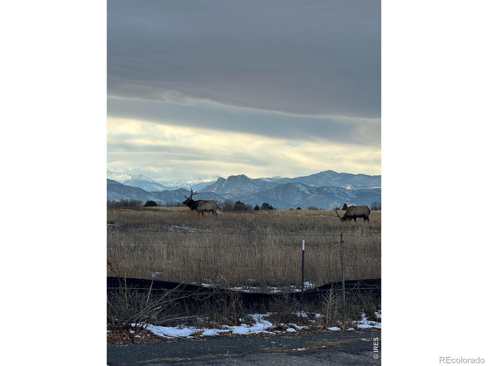 MLS Image #19 for 684  26th street,loveland, Colorado