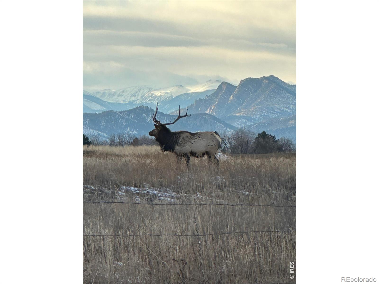 MLS Image #20 for 684  26th street,loveland, Colorado