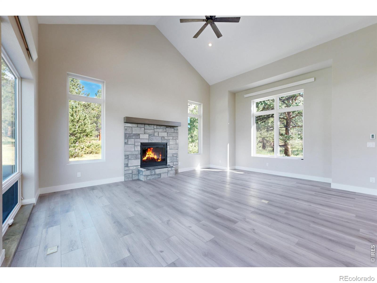 MLS Image #20 for 1299  devils gulch road,estes park, Colorado