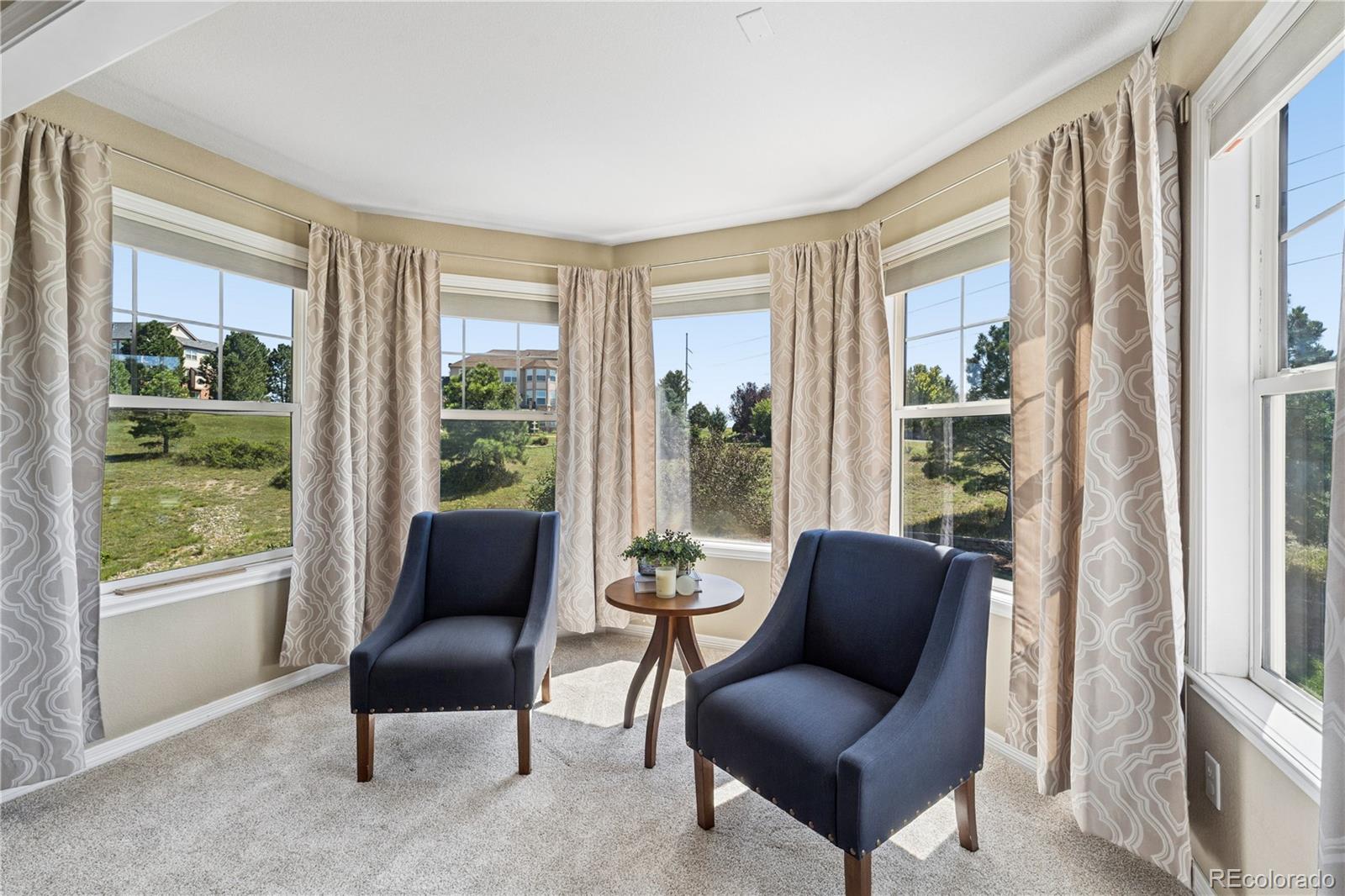 MLS Image #28 for 12794 s robinson ranch drive,parker, Colorado