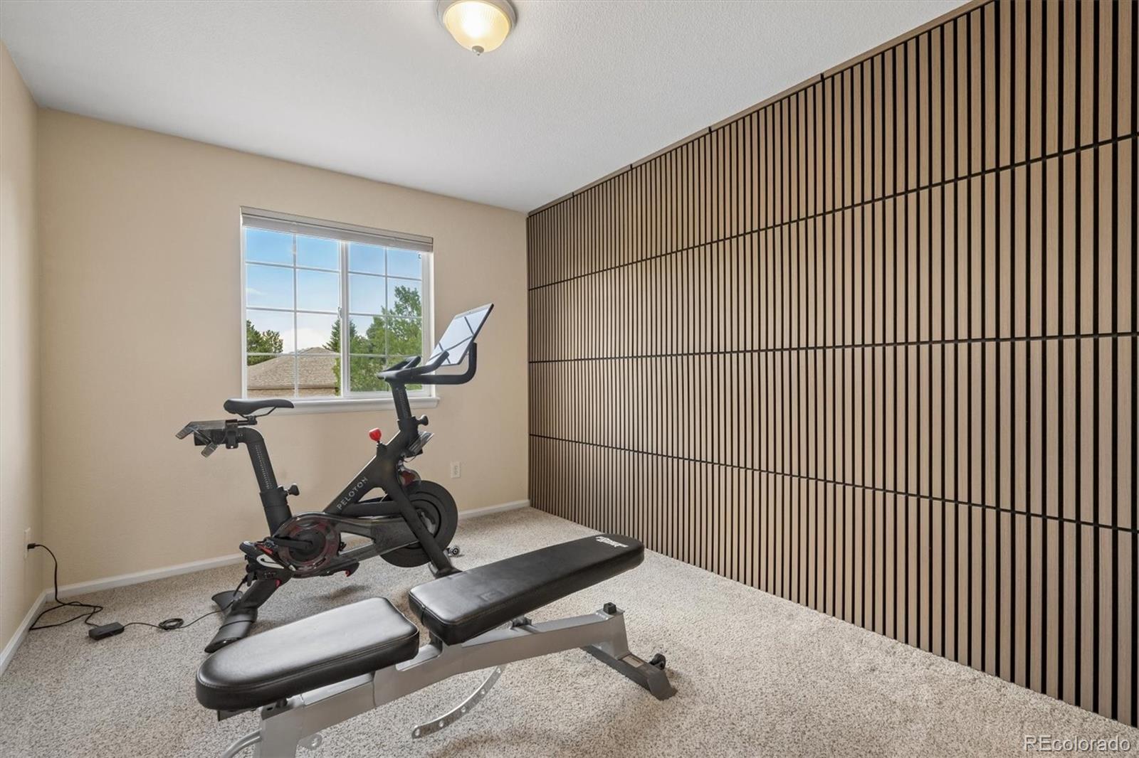 MLS Image #27 for 1271  berganot trail,castle pines, Colorado