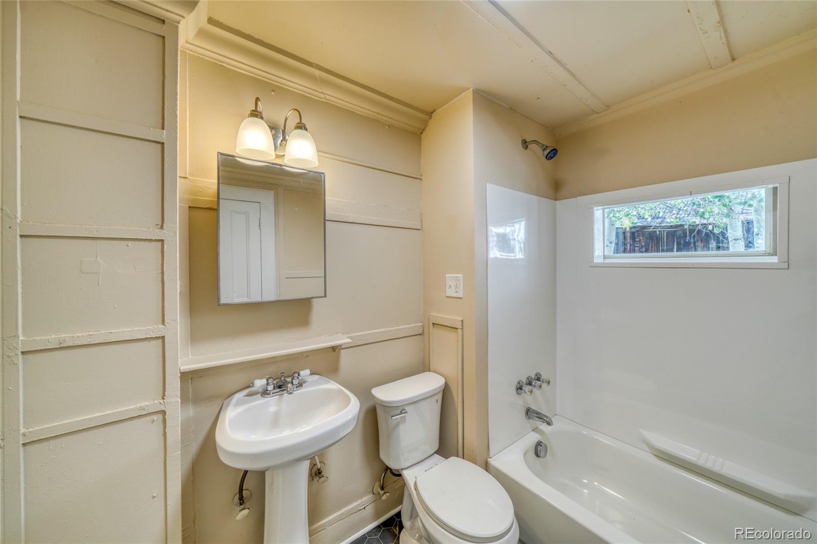 MLS Image #18 for 324  elm street,leadville, Colorado