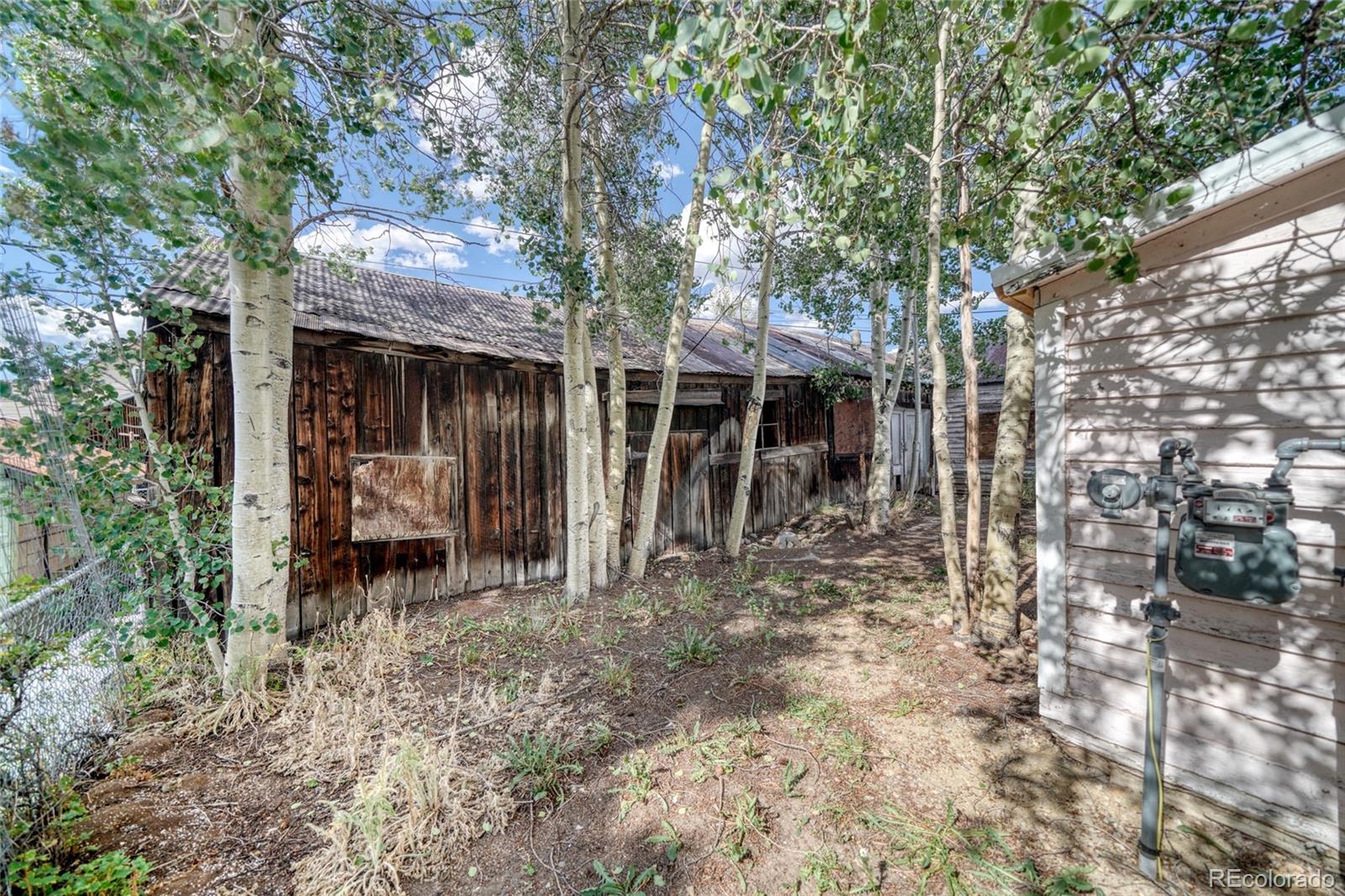 MLS Image #31 for 324  elm street,leadville, Colorado
