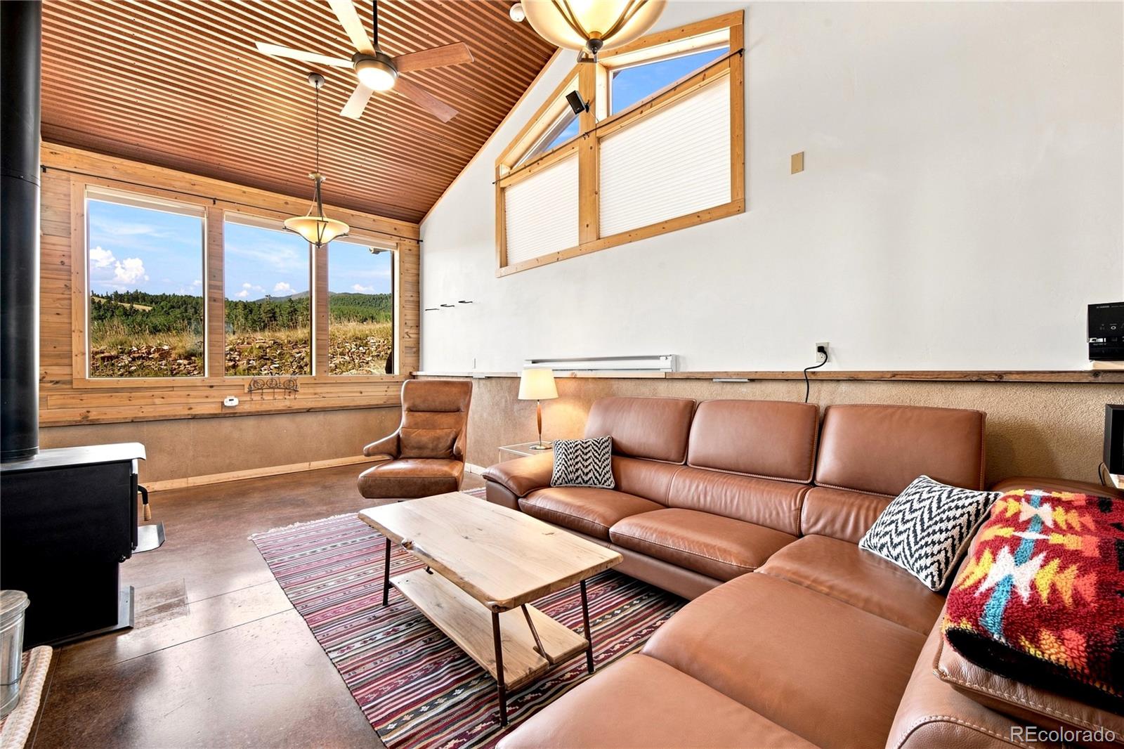 MLS Image #14 for 958  chalice drive,westcliffe, Colorado