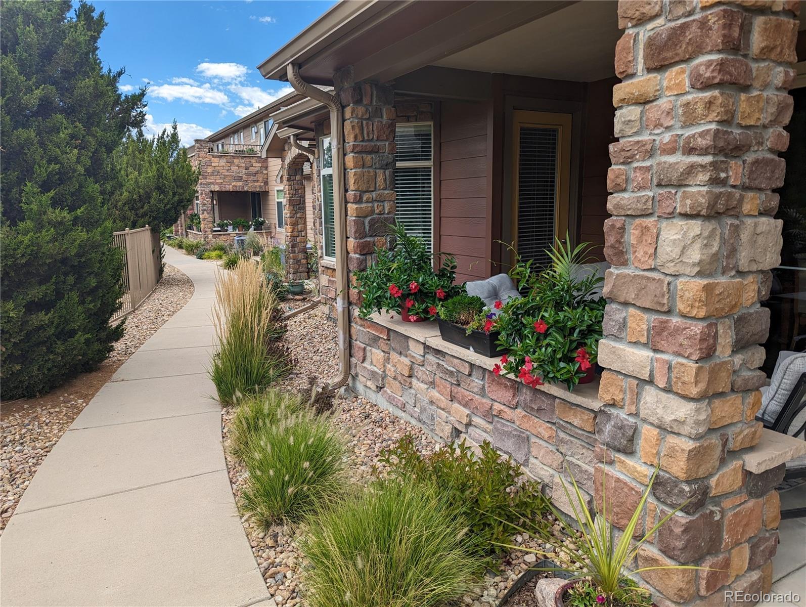 MLS Image #3 for 8551  gold peak drive,littleton, Colorado
