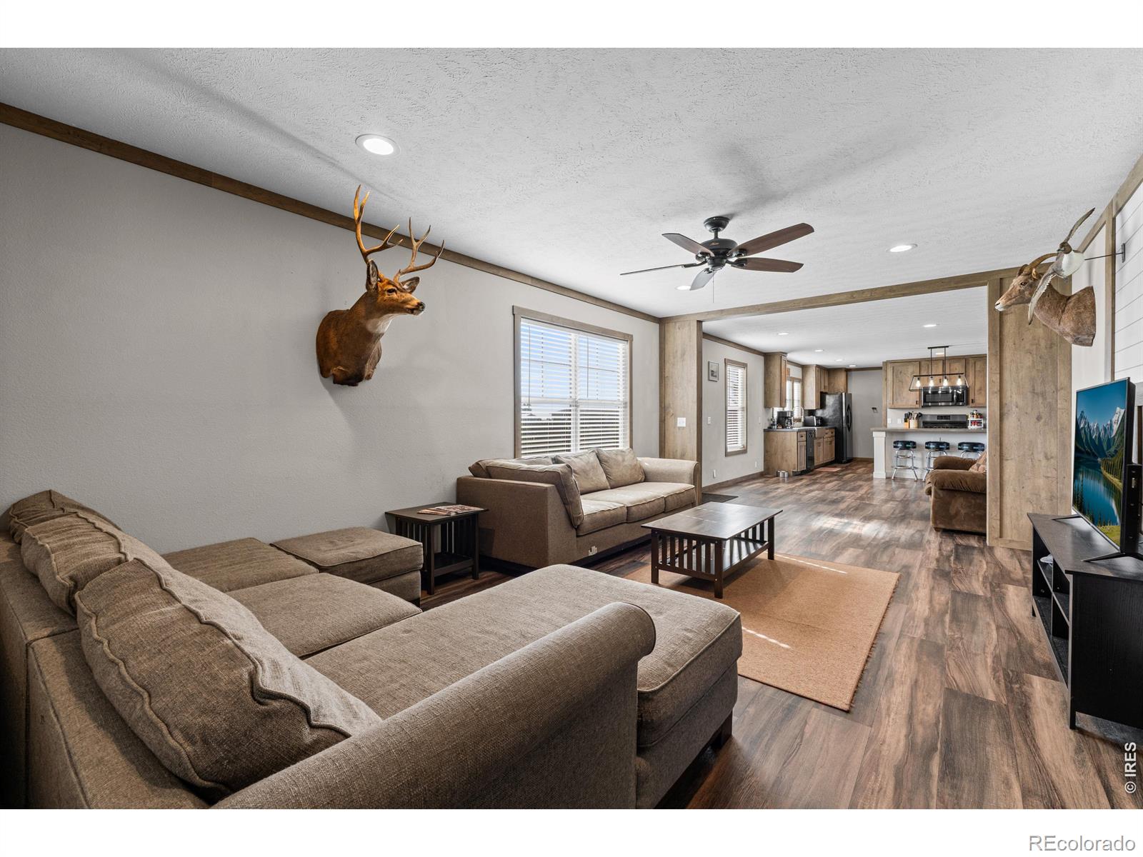 MLS Image #9 for 405 e main avenue,pierce, Colorado