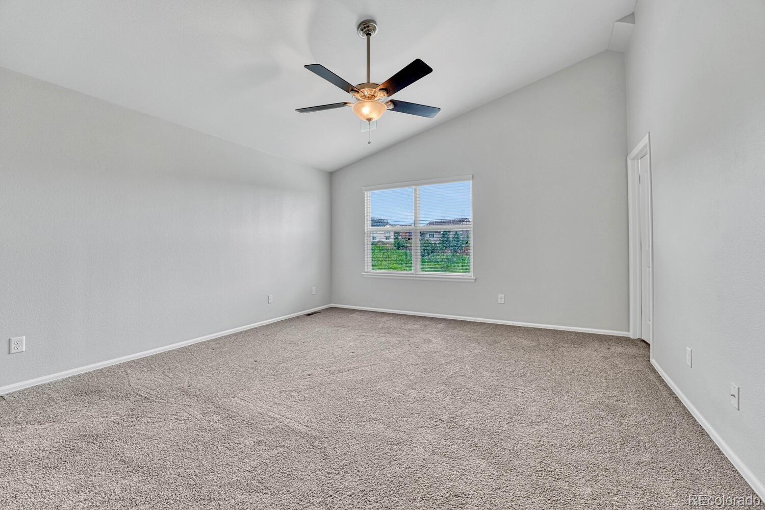 MLS Image #13 for 3669  amber sun circle,castle rock, Colorado