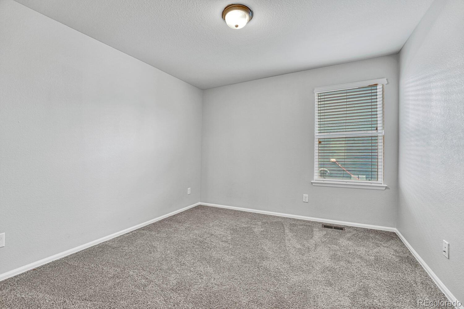 MLS Image #19 for 3669  amber sun circle,castle rock, Colorado