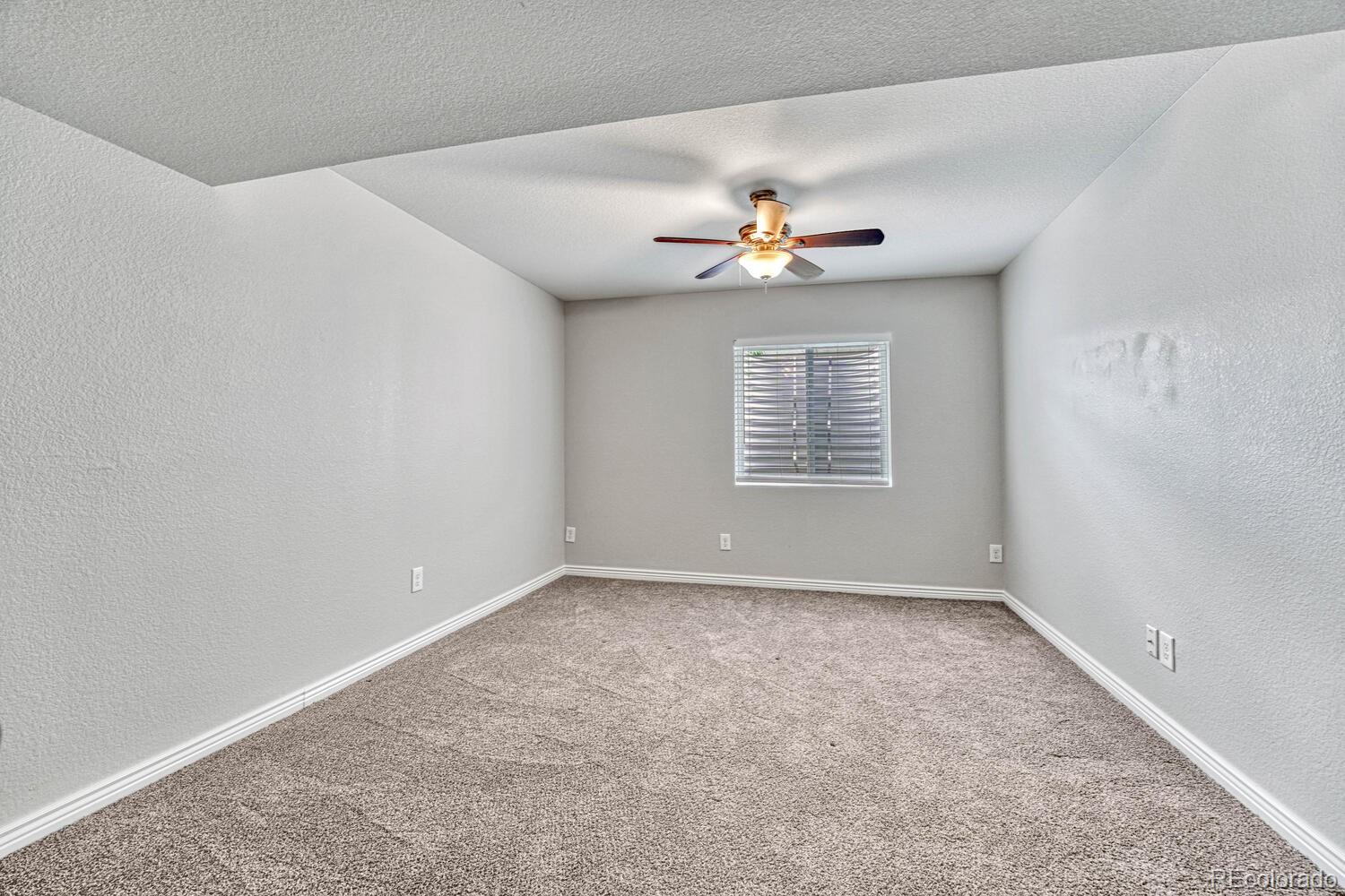 MLS Image #24 for 3669  amber sun circle,castle rock, Colorado
