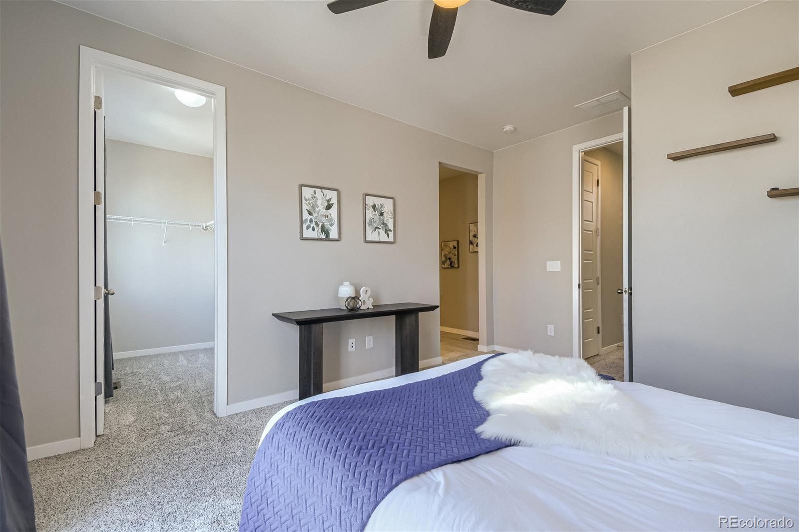 MLS Image #16 for 3675  penang drive,castle rock, Colorado
