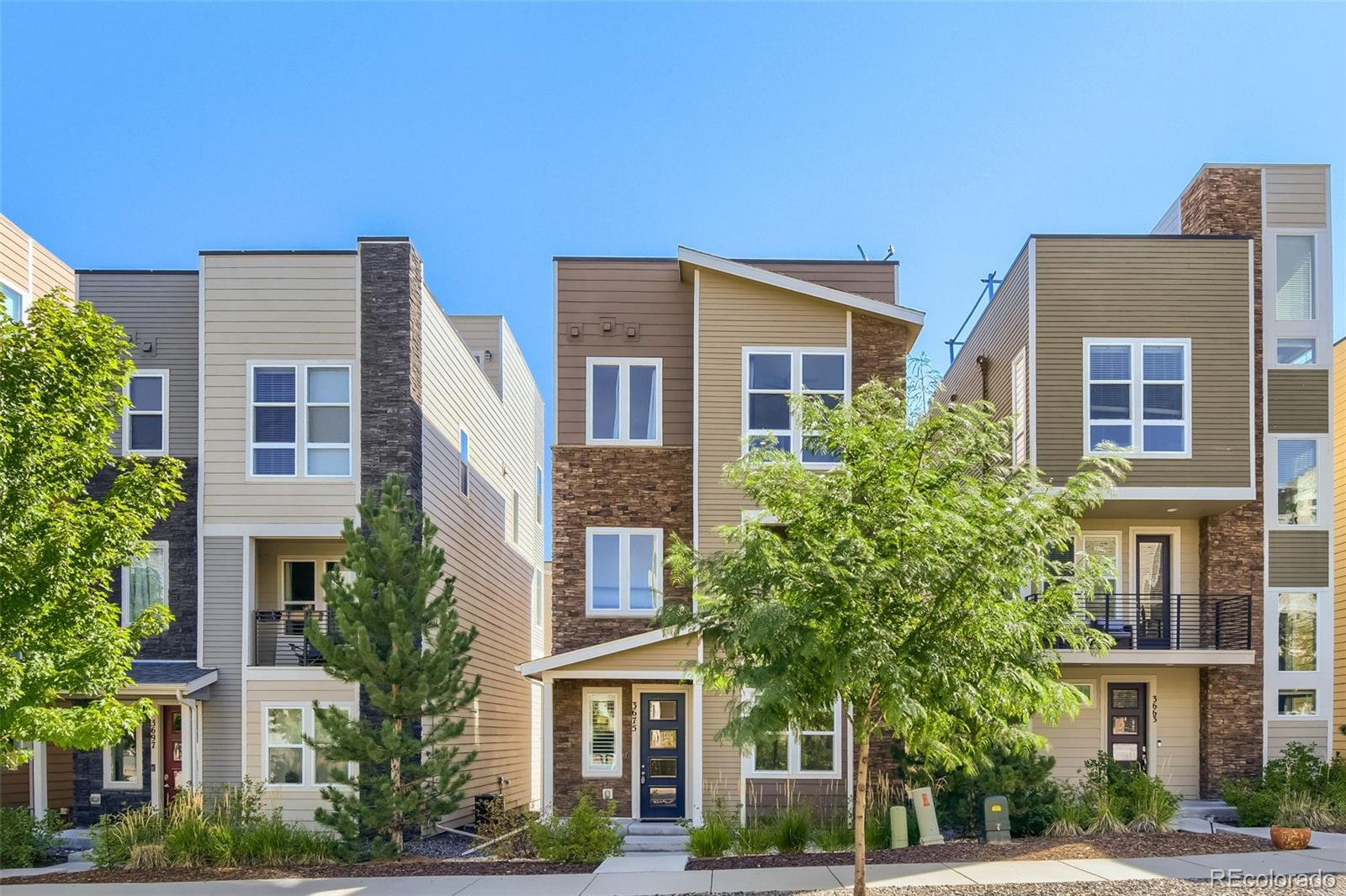 MLS Image #28 for 3675  penang drive,castle rock, Colorado