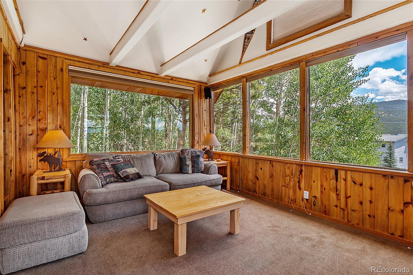 MLS Image #12 for 186  county road 4651 ,grand lake, Colorado