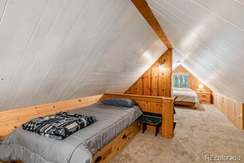 MLS Image #21 for 186  county road 4651 ,grand lake, Colorado