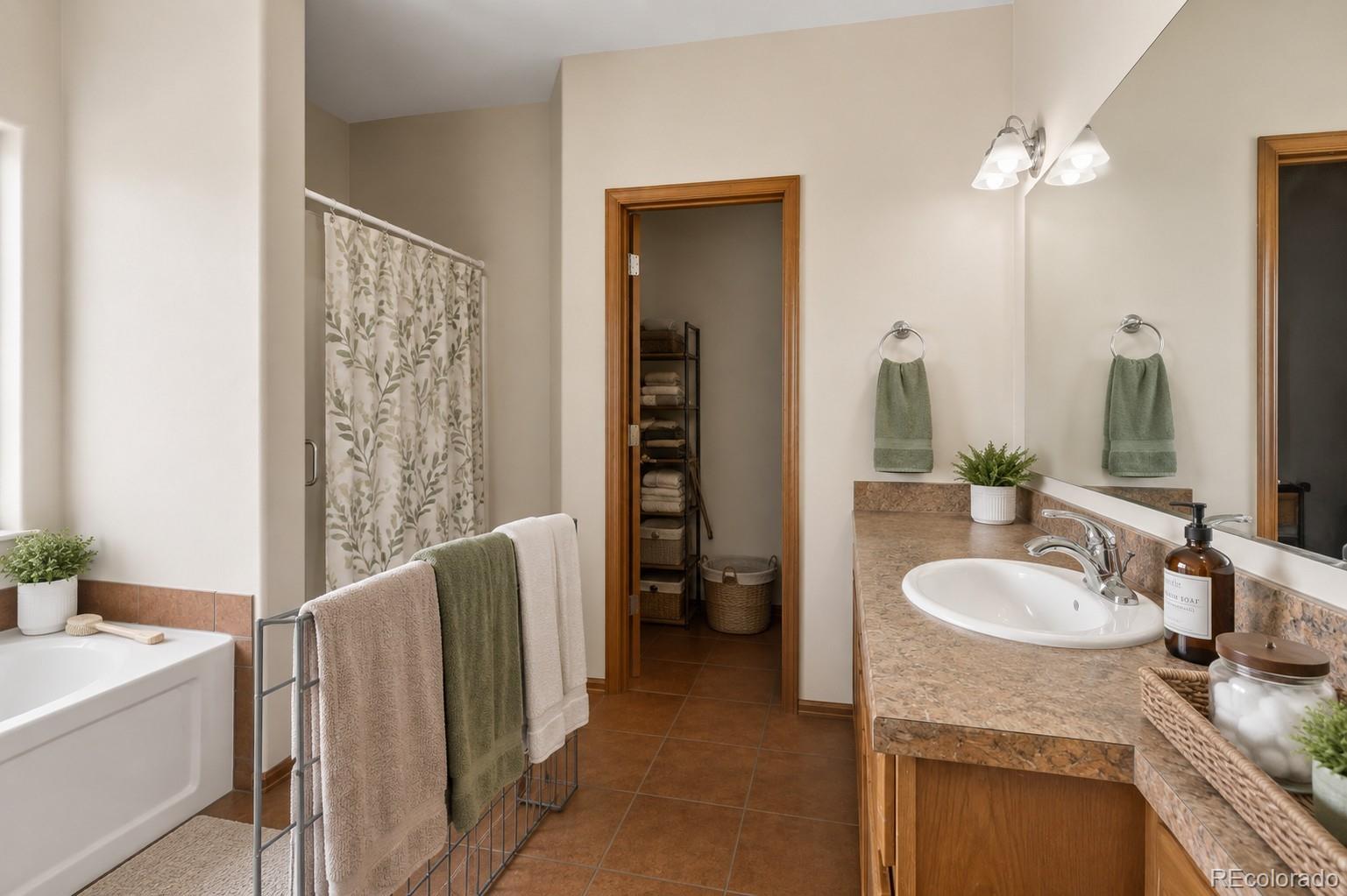 MLS Image #10 for 17610  starlight court,montrose, Colorado