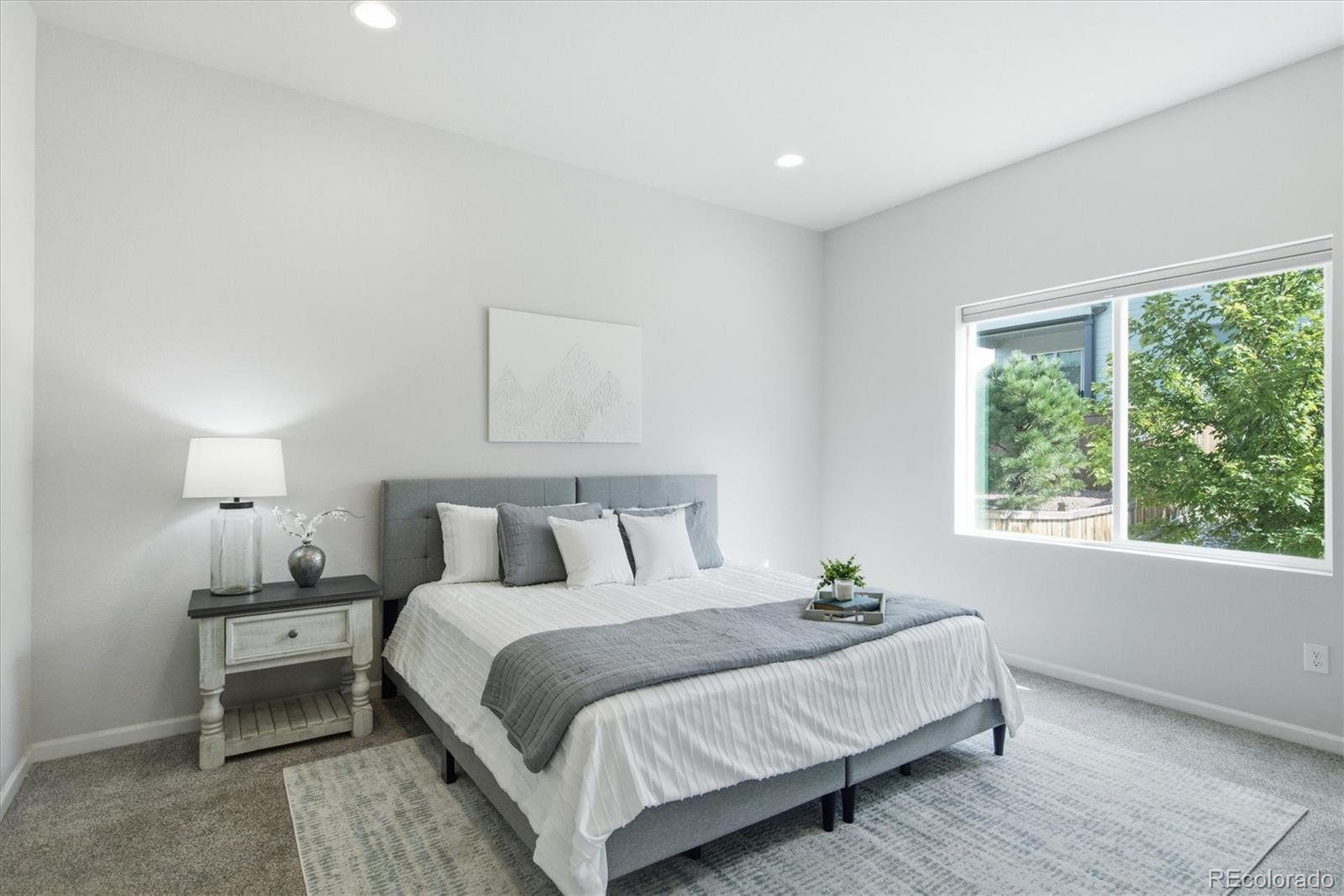 MLS Image #23 for 3578  silver rock circle,castle rock, Colorado