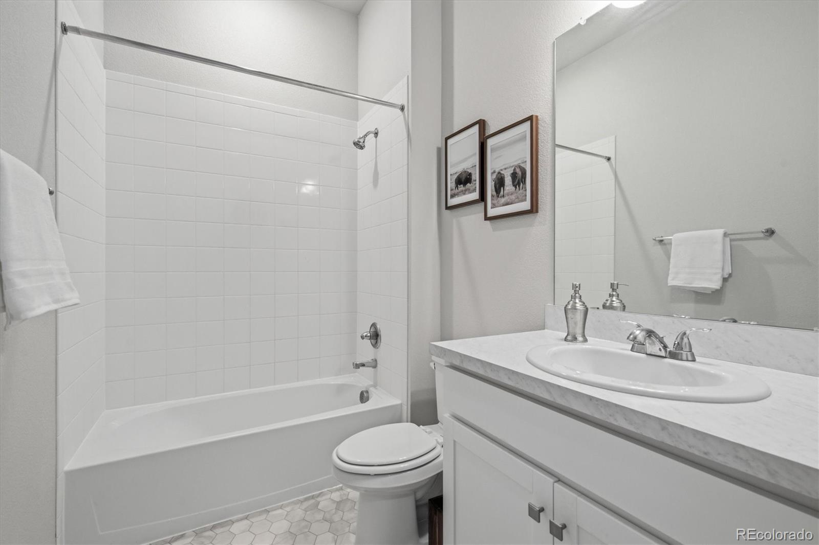 MLS Image #28 for 3578  silver rock circle,castle rock, Colorado