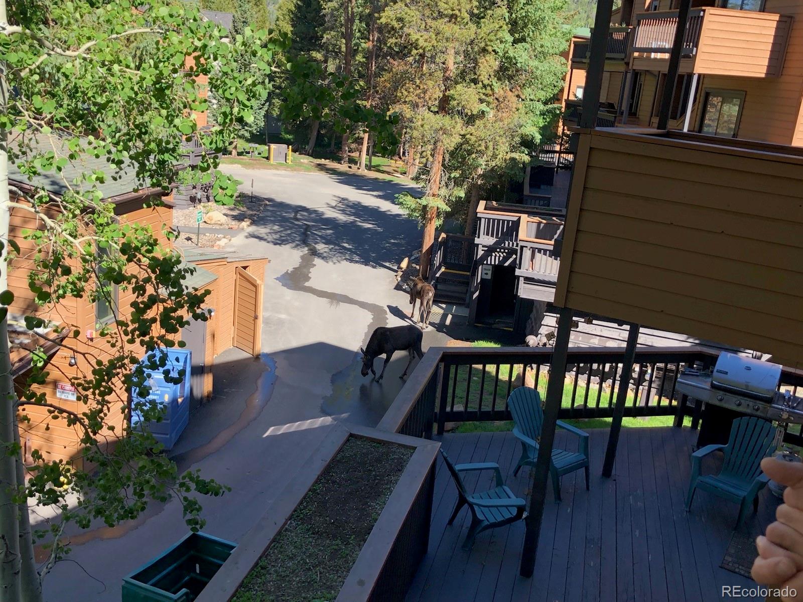 MLS Image #36 for 1513 e keystone road,keystone, Colorado