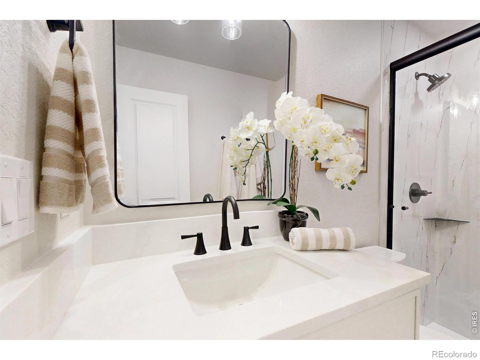 MLS Image #28 for 600  mount evans street,longmont, Colorado