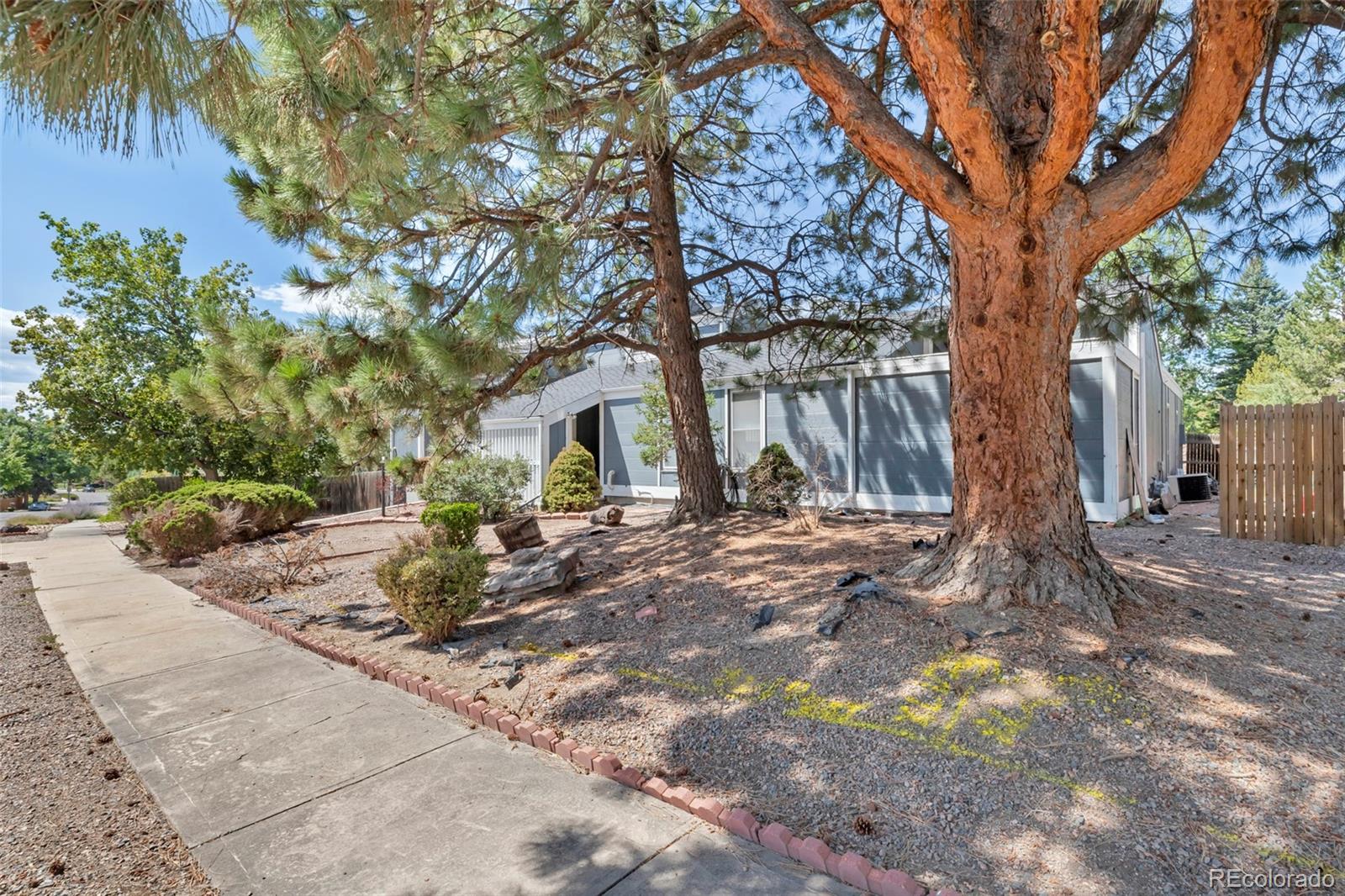 MLS Image #5 for 8319  webster street,arvada, Colorado