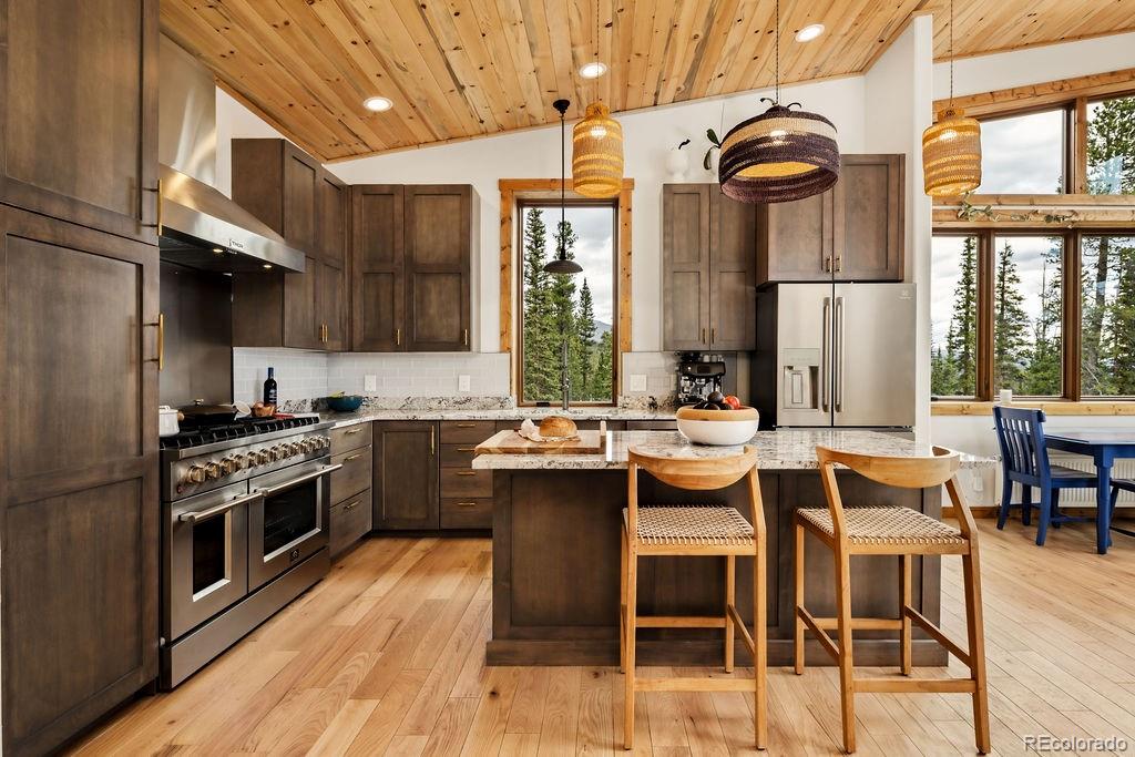 MLS Image #25 for 125  puma place,fairplay, Colorado