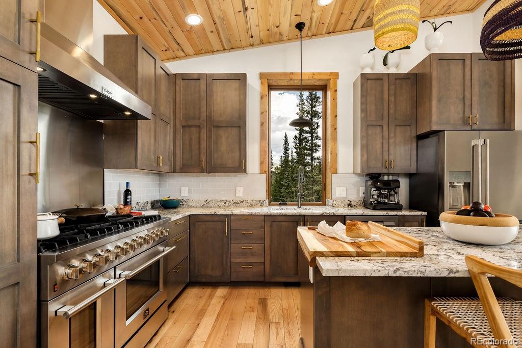MLS Image #26 for 125  puma place,fairplay, Colorado