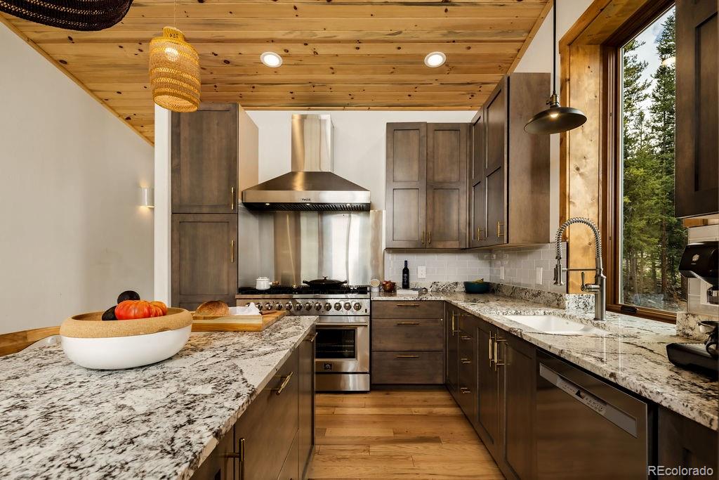 MLS Image #30 for 125  puma place,fairplay, Colorado