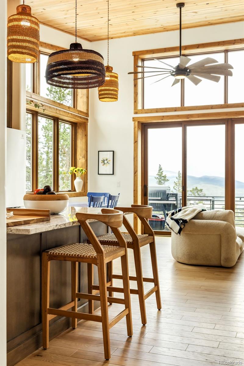 MLS Image #32 for 125  puma place,fairplay, Colorado