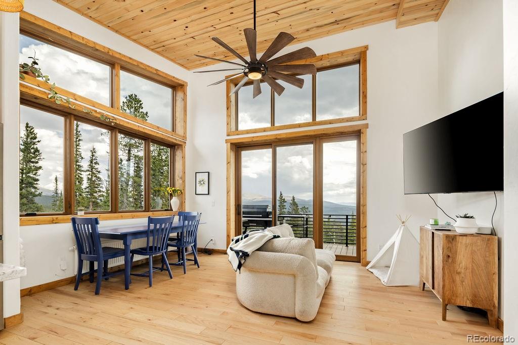 MLS Image #33 for 125  puma place,fairplay, Colorado