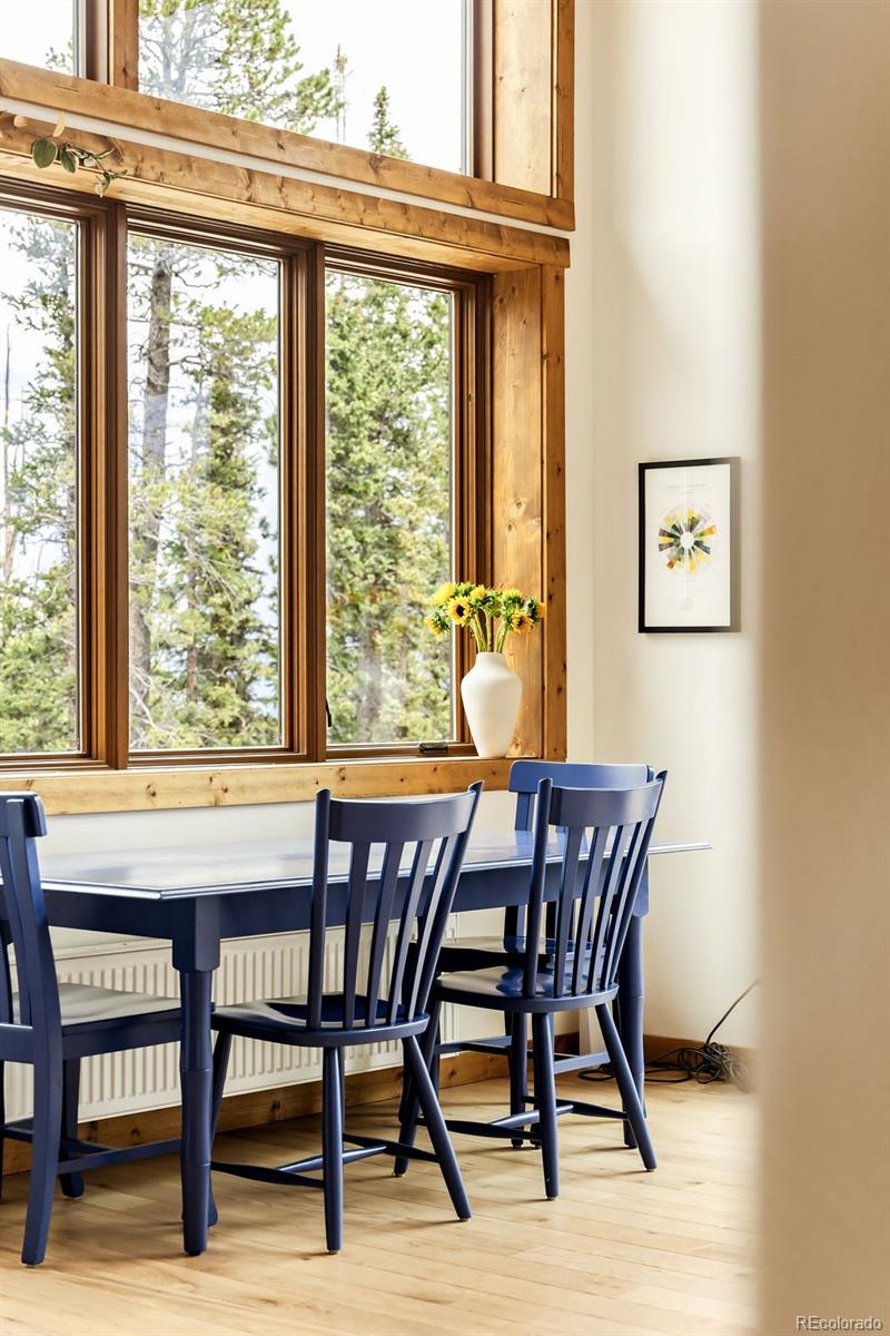 MLS Image #34 for 125  puma place,fairplay, Colorado
